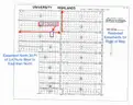 1.25 Acre Volusia County Florida No Reserve!