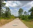1.25 Acre Volusia County Florida No Reserve!