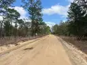 1/4 Acre Putnam County Florida No Reserve