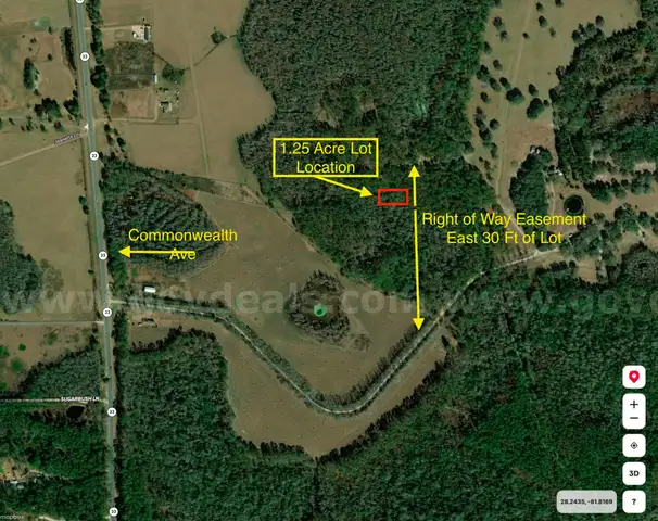 1.25 Acre Polk County Florida No Reserve