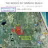 1.25 Acre Volusia County Florida No Reserve