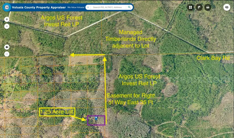 1.25 Acre Volusia County Florida No Reserve