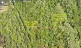 2.50 Acre Volusia County, Florida No Reserve