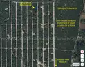 1/4 Acre Putnam County Florida No Reserve
