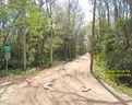 2.50 Acre Volusia County, Florida No Reserve
