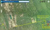 2.50 Acre Volusia County, Florida No Reserve