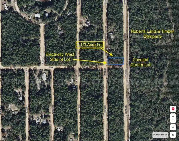 1/3 Acre Putnam County Florida No Reserve