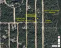 1/3 Acre Putnam County Florida No Reserve