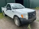 2010 Ford F-150 (B55810)
