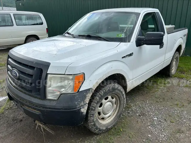 2010 Ford F-150 (B55810)