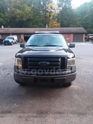 2010 Ford F-150 (C17363)