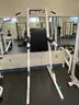 Non-Weighted Pull up dip Combo