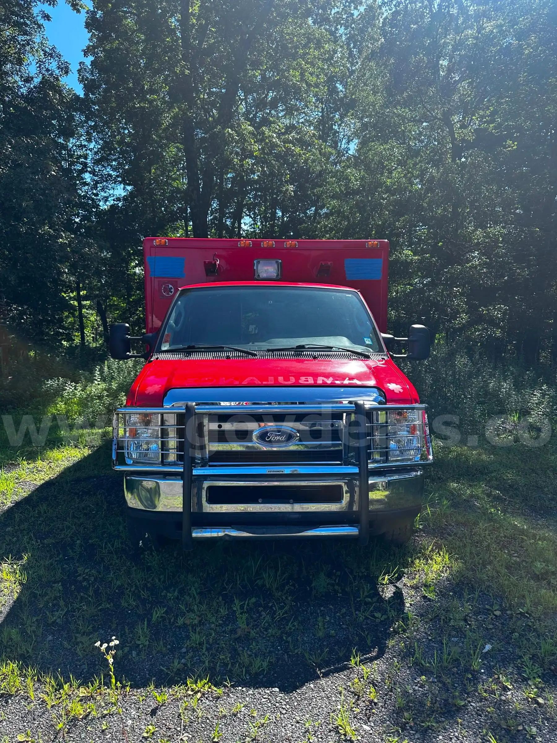 Photo of a 2017 Ford Econoline