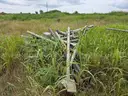 Lot of Traffic Signal Poles and Roadway Lighting Poles