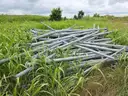 Lot of Traffic Signal Poles and Roadway Lighting Poles