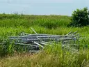 Lot of Traffic Signal Poles and Roadway Lighting Poles