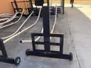 Discus Cage