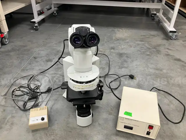 Olympus BX41 Microscope with 4 objectives