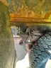 2012 International 7500 Snow Plow Truck
