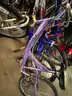 LOT of 2 Electric BIKES, 1 Motorbike, 15 Bikes