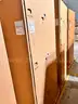 4x New ThermoFisher Scientific Flammable-Materials Storage refrigerator/freezer (RFMS/FFMS)