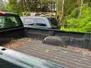 2005 Chevrolet Silverado 1500
