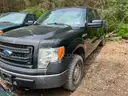 2013 Ford F-150 XL