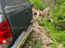 2004 Dodge Ram 1500