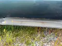 2004 Ford F-550 Regular Cab 2WD DRW