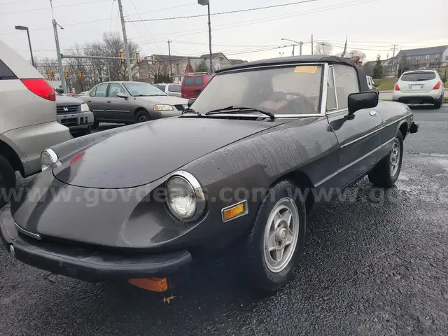 1982 Alfa Romeo Spider