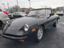 1982 Alfa Romeo Spider