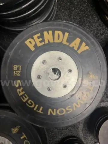 Pendlay 25lb Bumper Plate