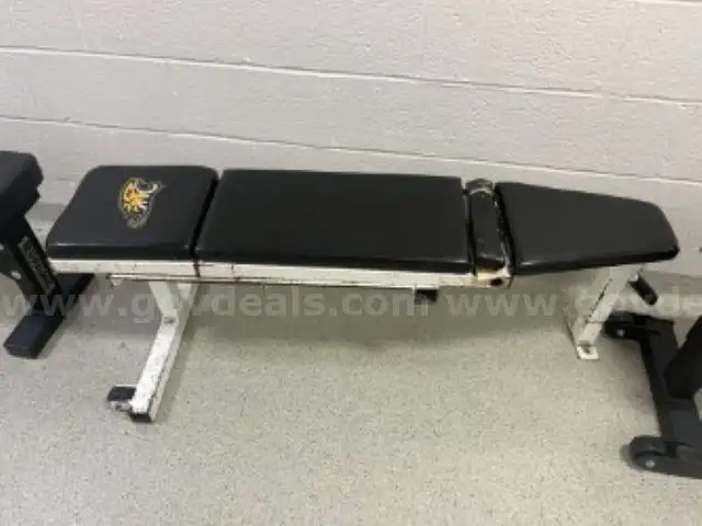 Samson Adjustable Bench