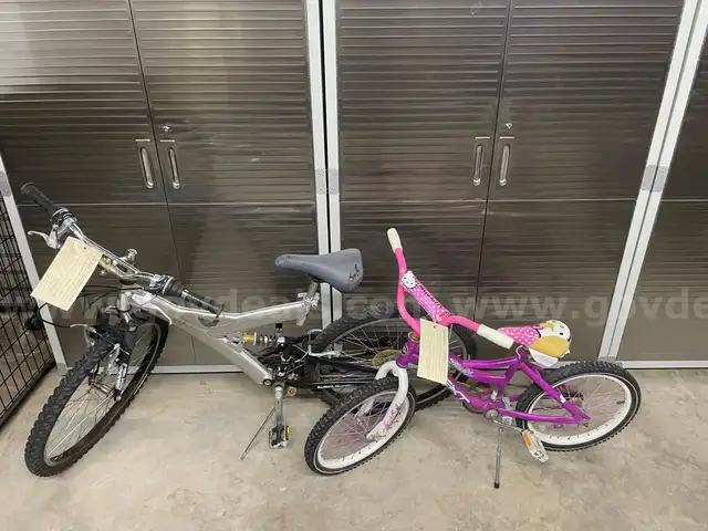 One Electric Scooter and two bicycles