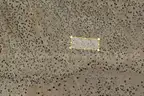 0.25 Ares California City No Reserve