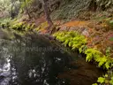 Scenic Mountain Land &#x2013; 4,443 Sq Ft &#x2013; Santa Cruz County, CA