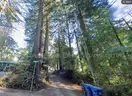 Scenic Mountain Land &#x2013; 4,443 Sq Ft &#x2013; Santa Cruz County, CA