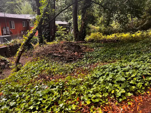Scenic Mountain Land &#x2013; 4,443 Sq Ft &#x2013; Santa Cruz County, CA
