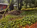 Scenic Mountain Land &#x2013; 4,443 Sq Ft &#x2013; Santa Cruz County, CA