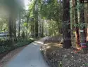 Scenic Mountain Land &#x2013; 4,443 Sq Ft &#x2013; Santa Cruz County, CA