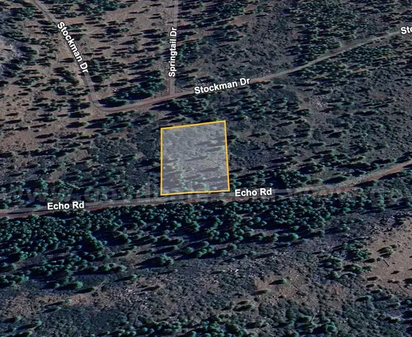 0.93 Acres in California **NO RESERVE**