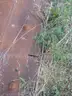 loader Bucket
