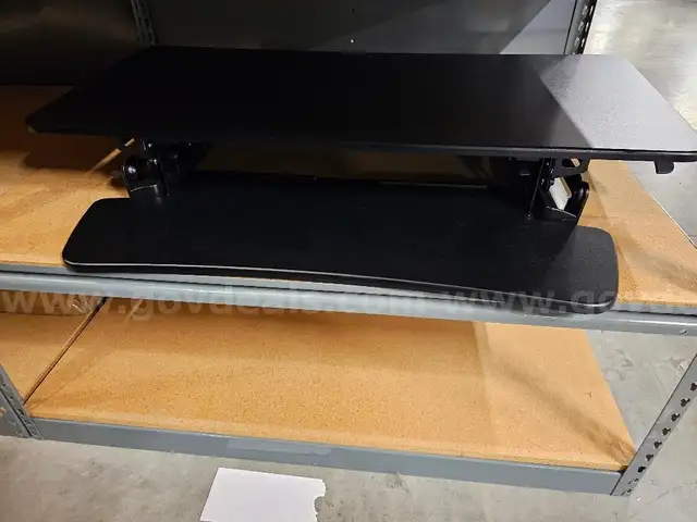 Flexispot Manual Desk Riser