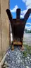 37"/19" BACKHOE BUCKET WITH 3 TEETH