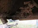 Trackless Flail Mower Attachment