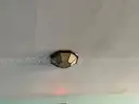 Light Fixtures