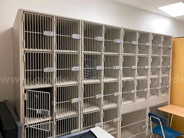 Caged Storage Shelving