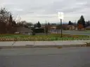 .29 Acre Lot off 8th and University