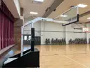 Bison T Rex Basketball system