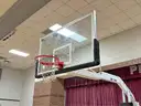 Bison T Rex Basketball system